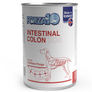 Intestinal Colon ACTIWET