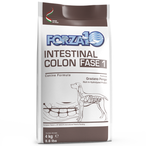 Intestinal Colon FAZĖ 1