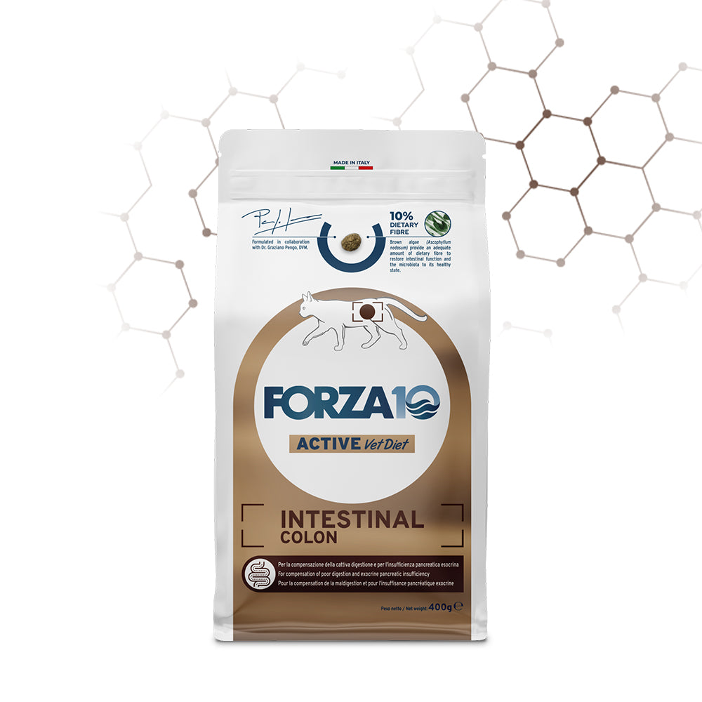 FORZA10 VetDiet INTESTINAL COLON katėms
