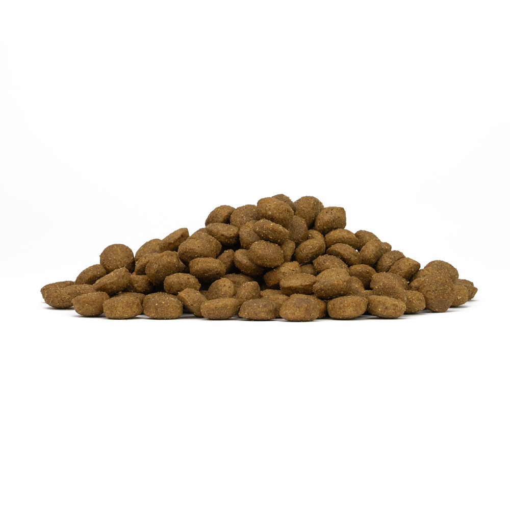 FORZA10 VetDiet INTESTINAL COLON katėms