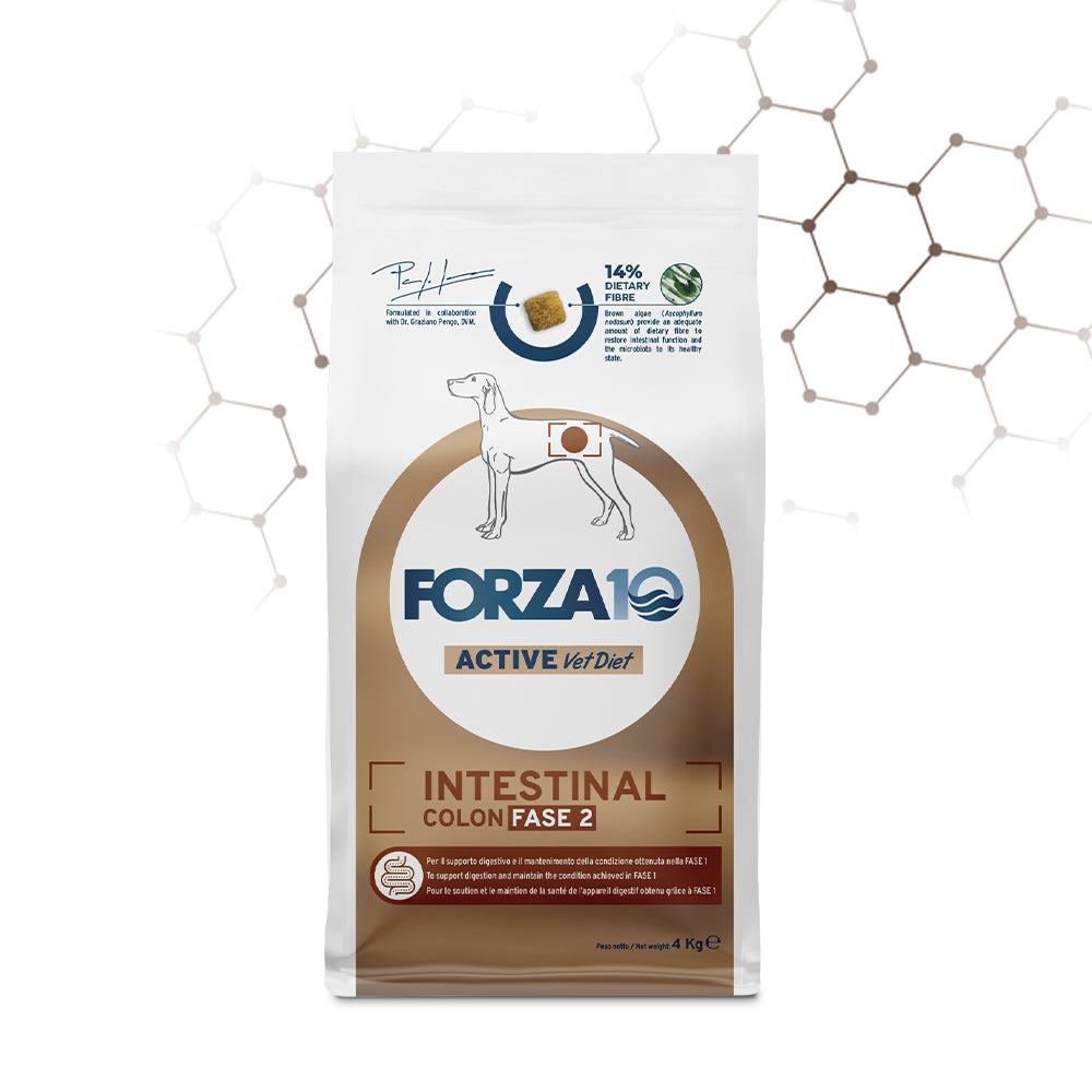 FORZA10 VetDiet INTESTINAL COLON Fase 2 All Breeds šunims