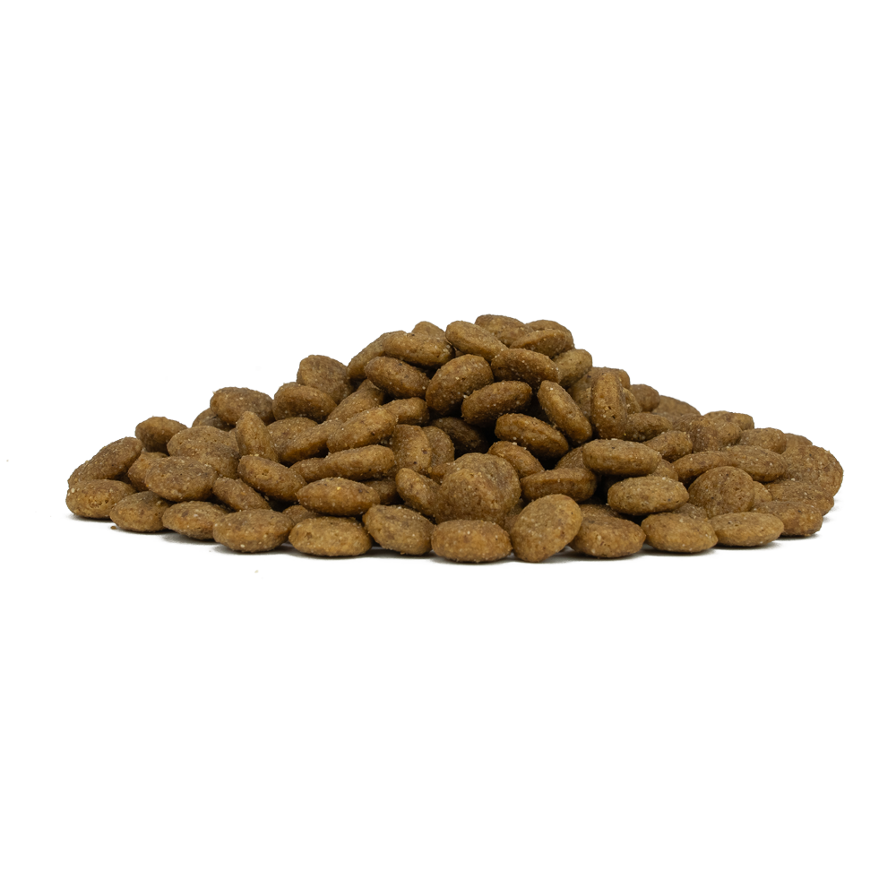 Forza10 MONODiet Medium Adult pork with potaoes - pilnvērtīga, sabalansēta ikdienas diētiskā barība ar cūkgaļu un kartupeļiem vidēja auguma suņiem