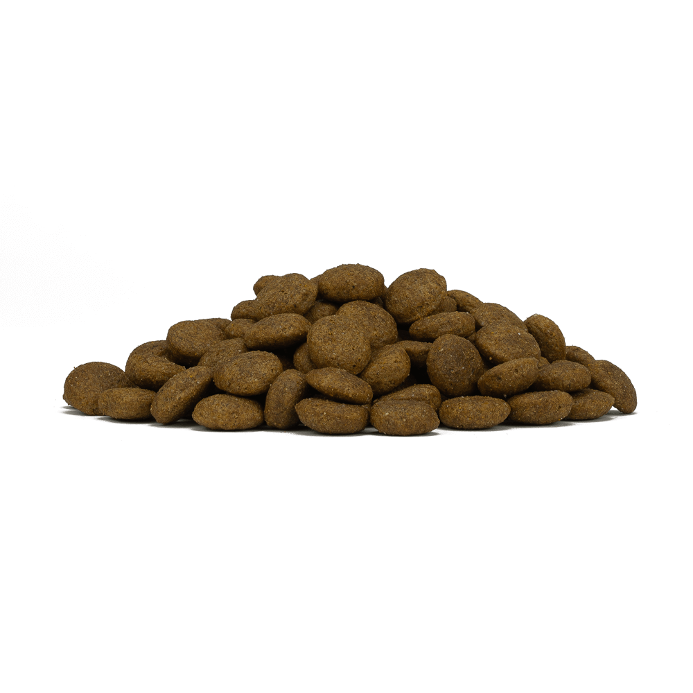 Forza10 Mono Diet medium adult rich in venison - sausā barība alerģiskiem un jūtīgiem suņiem ar brieža gaļu un kartupeļiem graudiņu izskats