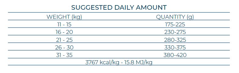 Forza10 MONODiet Medium Adult pork with potaoes - pilnvērtīga, sabalansēta ikdienas diētiskā barība ar cūkgaļu un kartupeļiem vidēja auguma suņiem