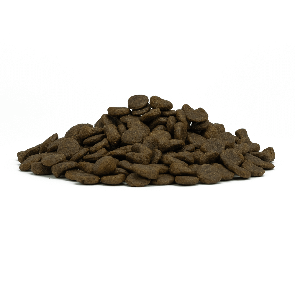 FORZA10 Monodiet Mini/Toy Adult Sensitive Digestion šunims begrūdis su žuvimi