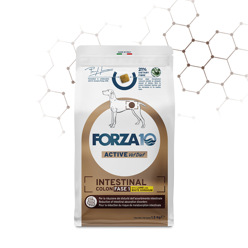 FORZA10 VetDiet INTESTINAL COLON Fase 1 All Breeds šunims su ėriena ir sorgais