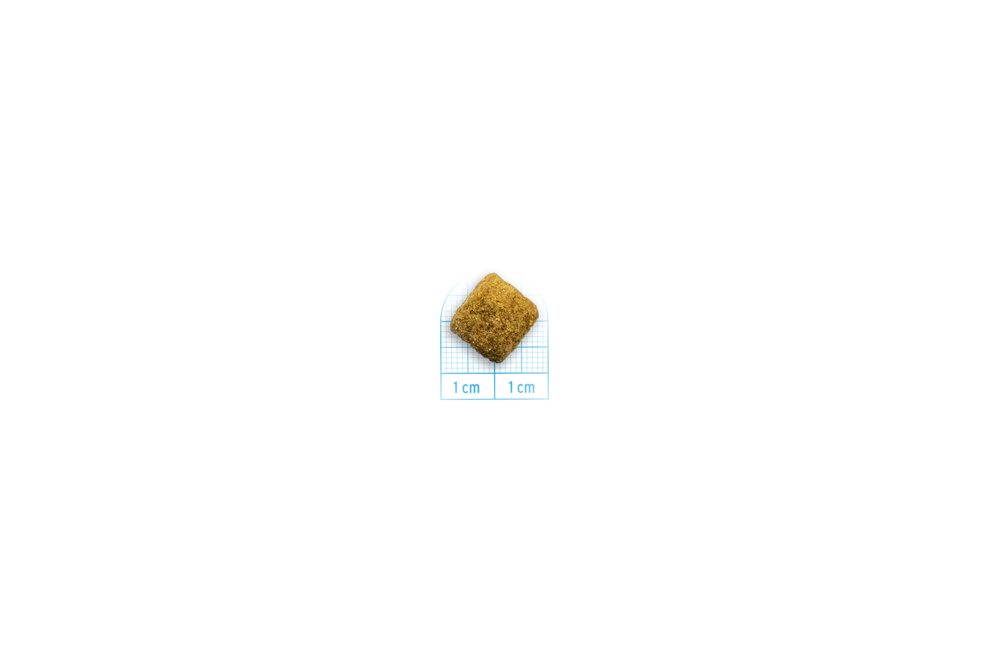 FORZA10 VetDiet INTESTINAL COLON Fase 1 All Breeds šunims su ėriena ir sorgais