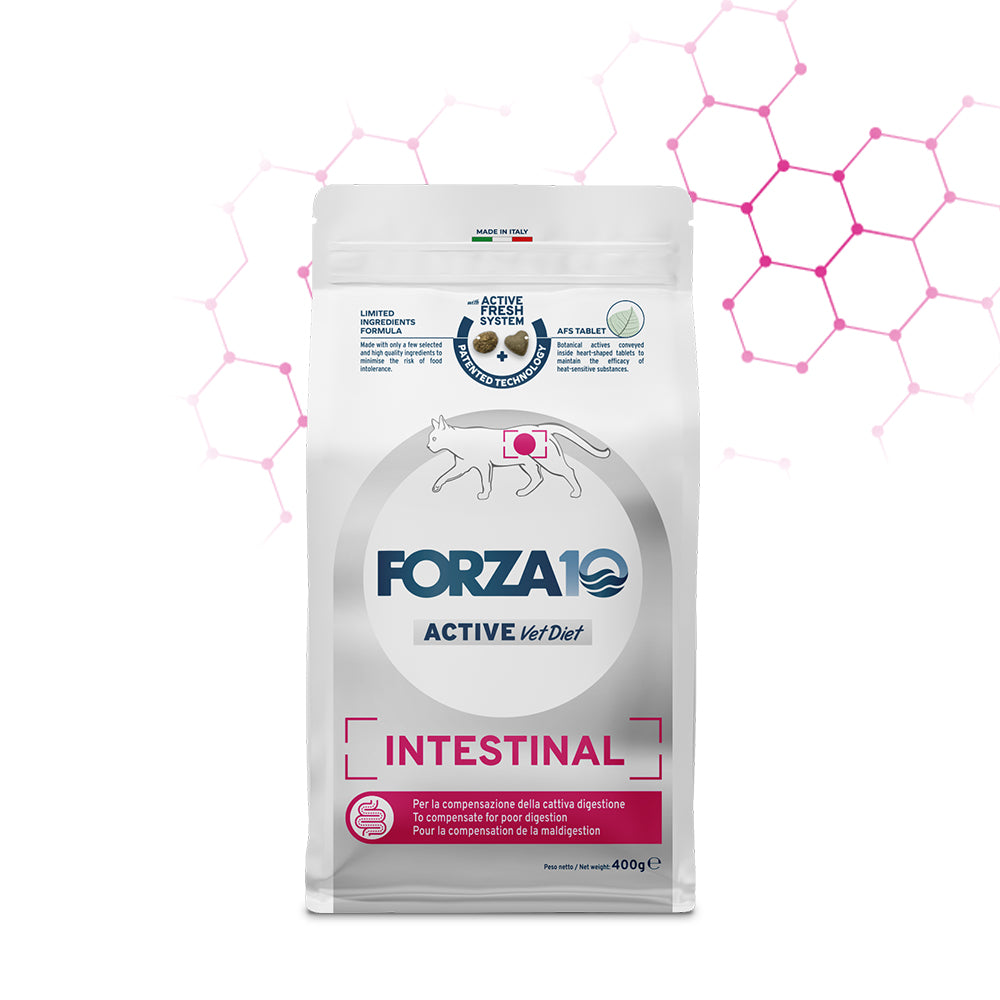 FORZA10 VetDiet INTESTINAL katėms