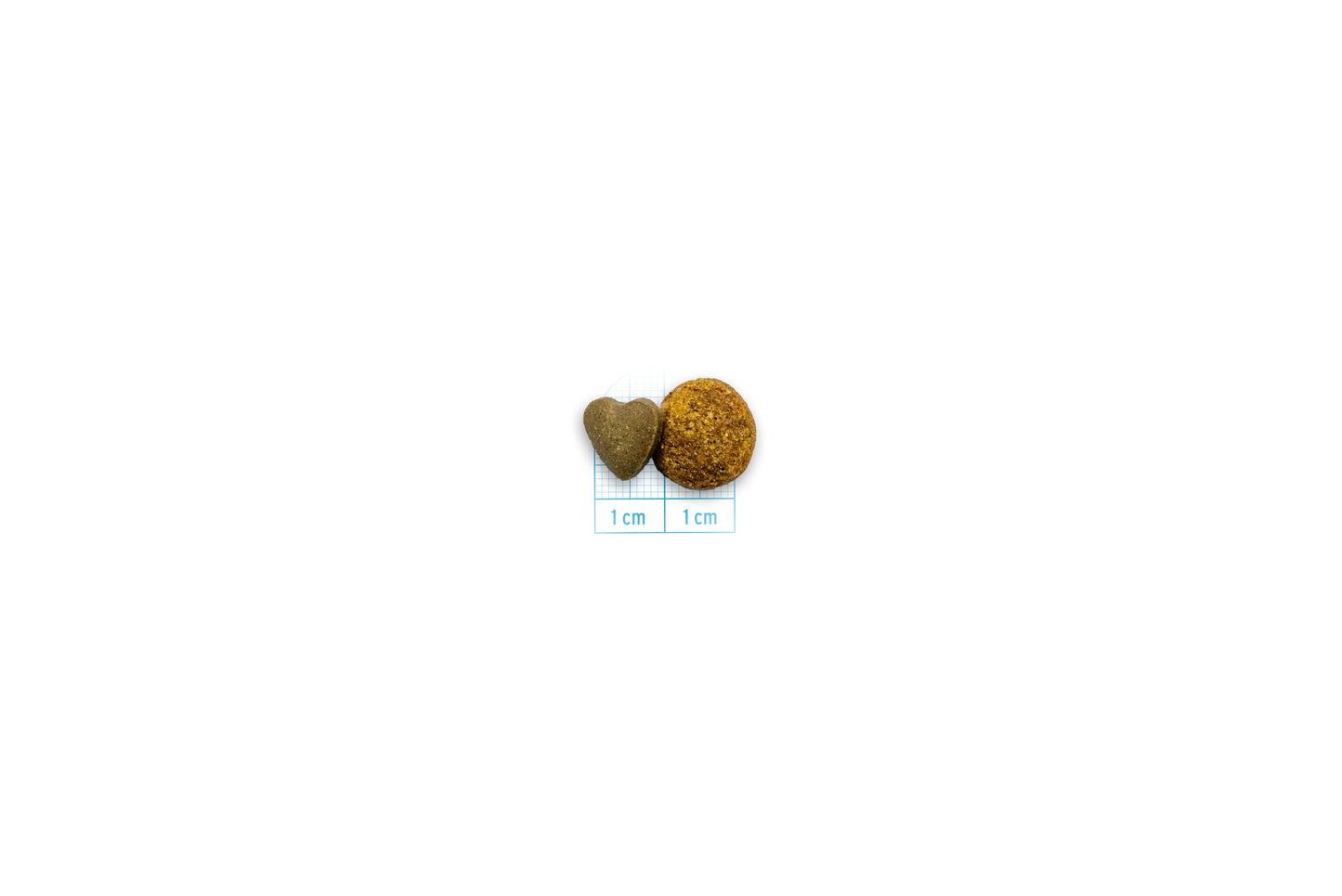 FORZA10 VetDiet INTESTINAL katėms