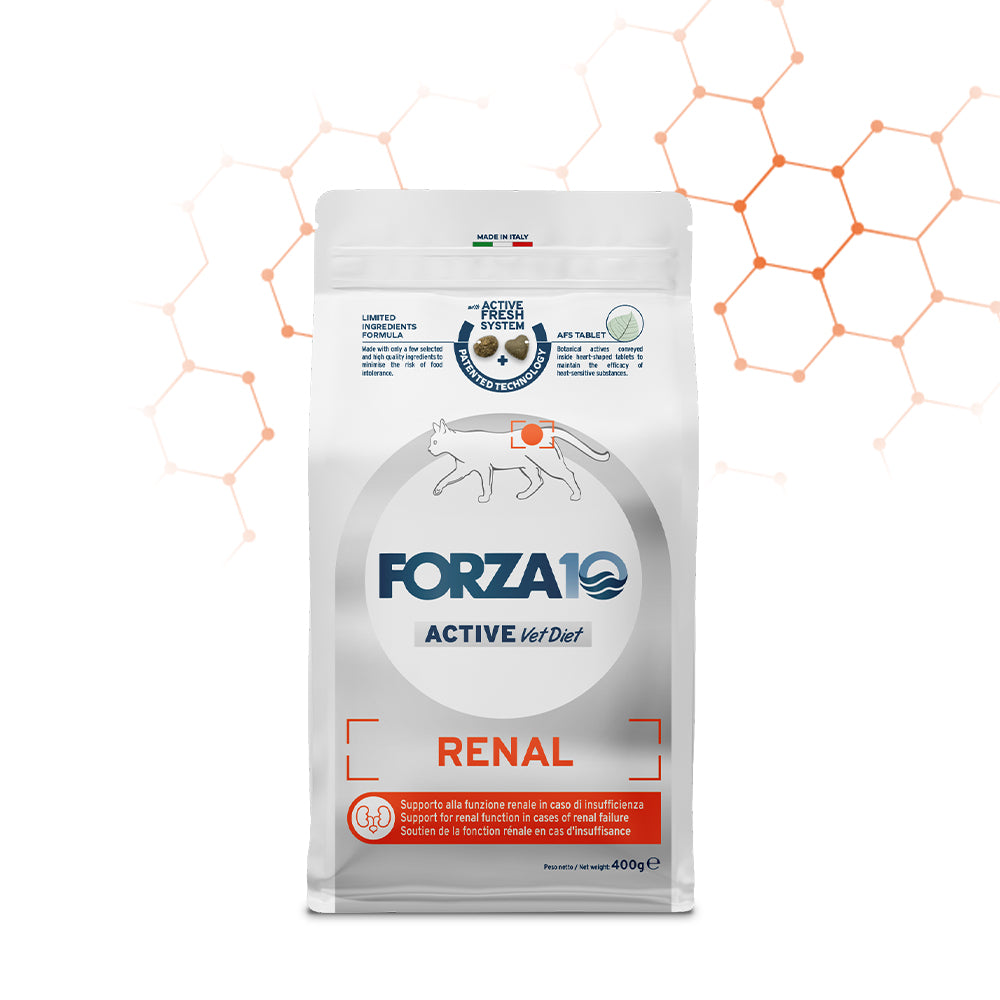 FORZA10 VetDiet RENAL katėms