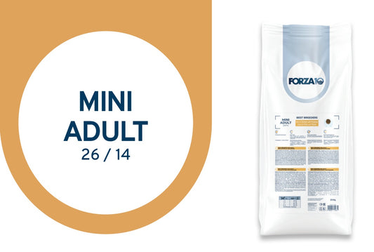 FORZA10 Best Breeders Mini Adult šunims (26/14) su vištiena ir bulvėmis
