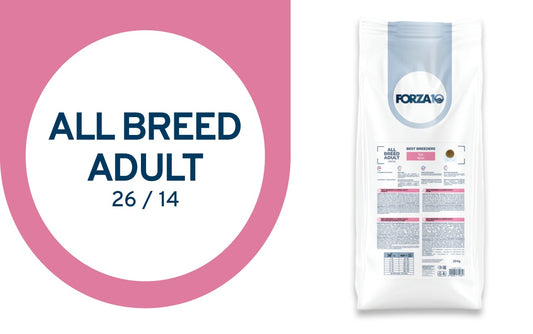 FORZA10 Best Breeders Adult All Breeds šunims (26/14) su kiauliena