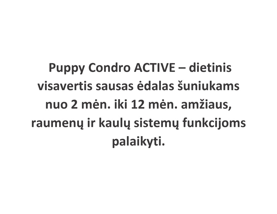 Puppy Condro ACTIVE