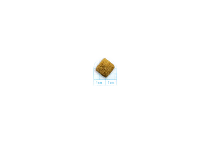 FORZA10 VetDiet INTESTINAL COLON Fase 1 All Breeds šunims su ėriena ir sorgais