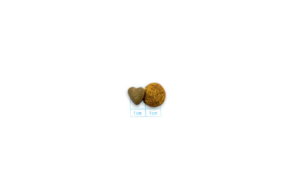 FORZA10 VetDiet INTESTINAL katėms